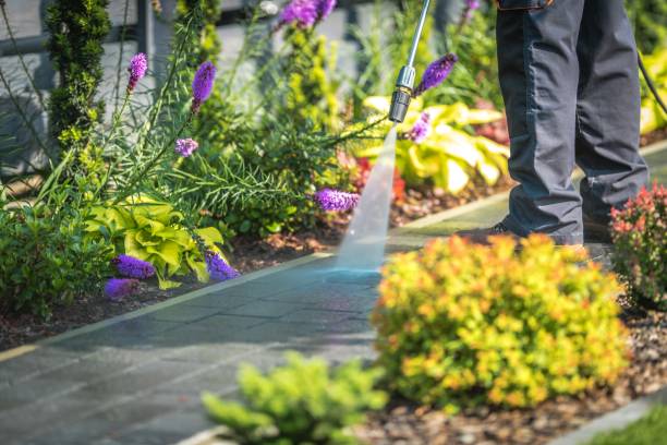 Best Patio and Deck Pressure Washing  in Madison, IN