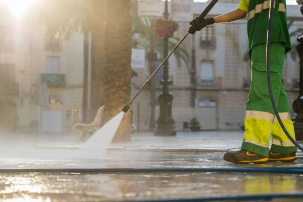 Best Roof Washing  in Madison, IN